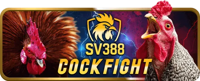 Mẹo chơi bắn cá dv88